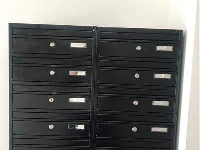 Picture 11